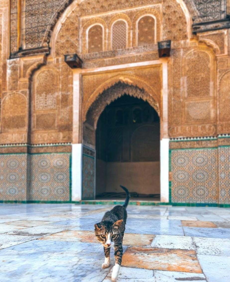 Tours From Casablanca To Marrakech 12 Days / 11 Nights