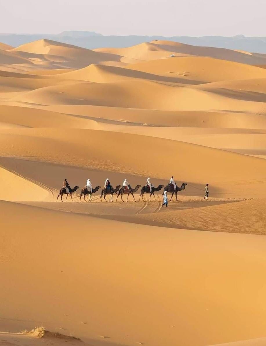 Tours From Marrakech to Zagora 2 Days/ 1 Night DETAILED ITINERARY