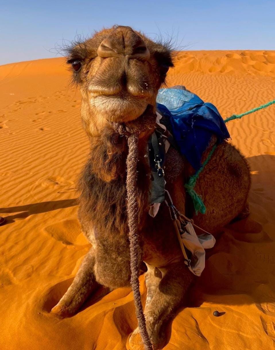 Tours From Casablanca To Marrakech 8 Days / 7 Nights