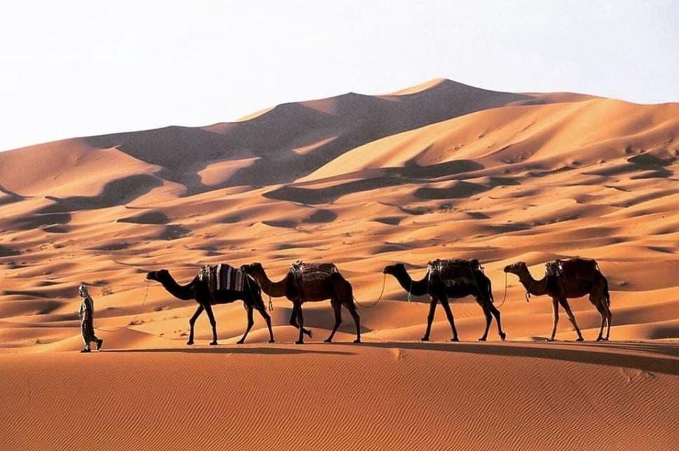 Tours From Casablanca To Marrakech 8 Days / 7 Nights